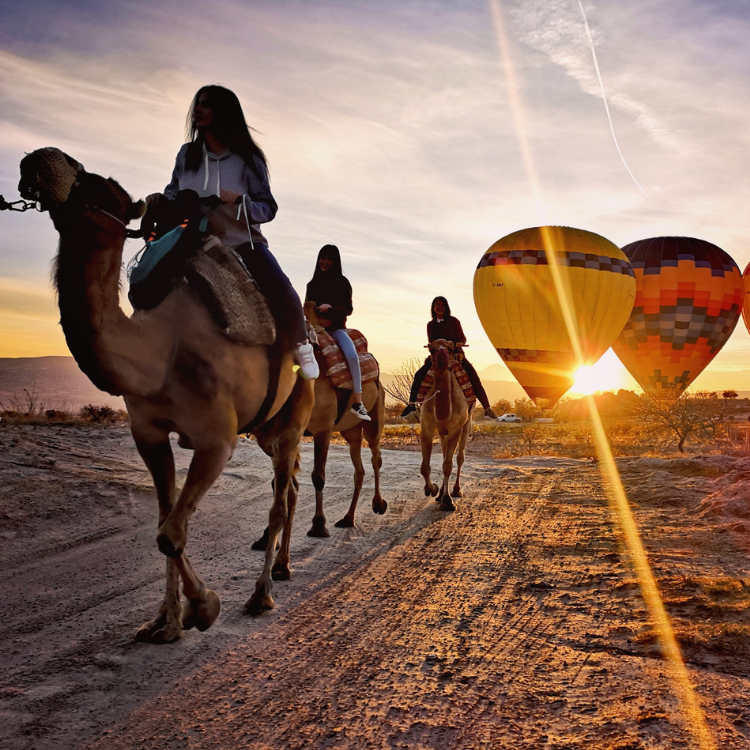 Sunrise Camel Tour