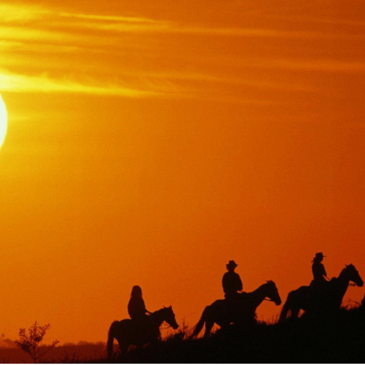 Sunset Horse (Equestrian) Tour